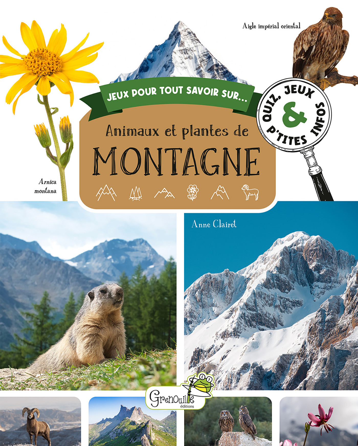 ANIMAUX ET PLANTES DE MONTAGNE//JEUX POUR TOUT SAVOIR/GRENOUILLE/