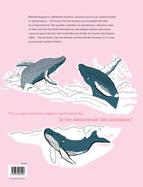 LA VIE AMOUREUSE DES ANIMAUX//ACTES SUD JEUNESSE/ACTES SUD/ – Image 2