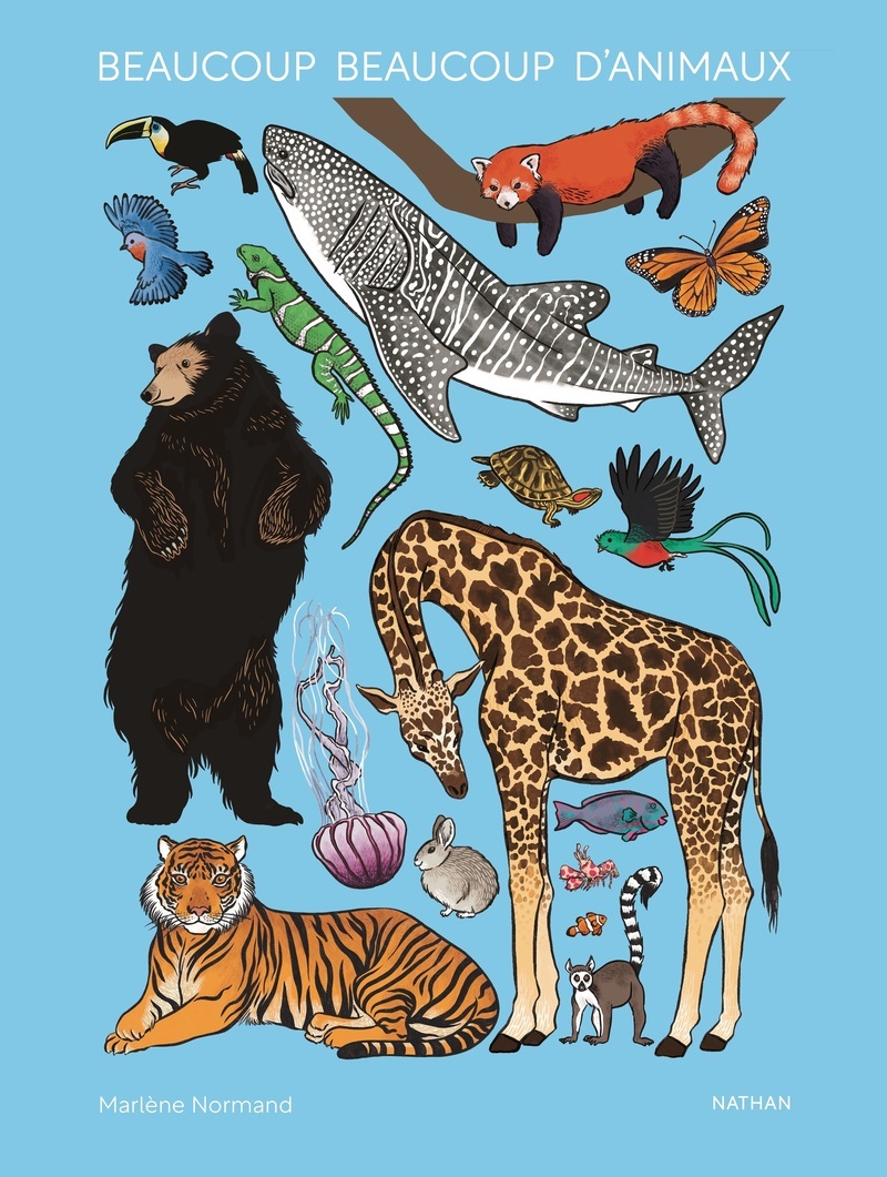 BEAUCOUP BEAUCOUP D'ANIMAUX///NATHAN/