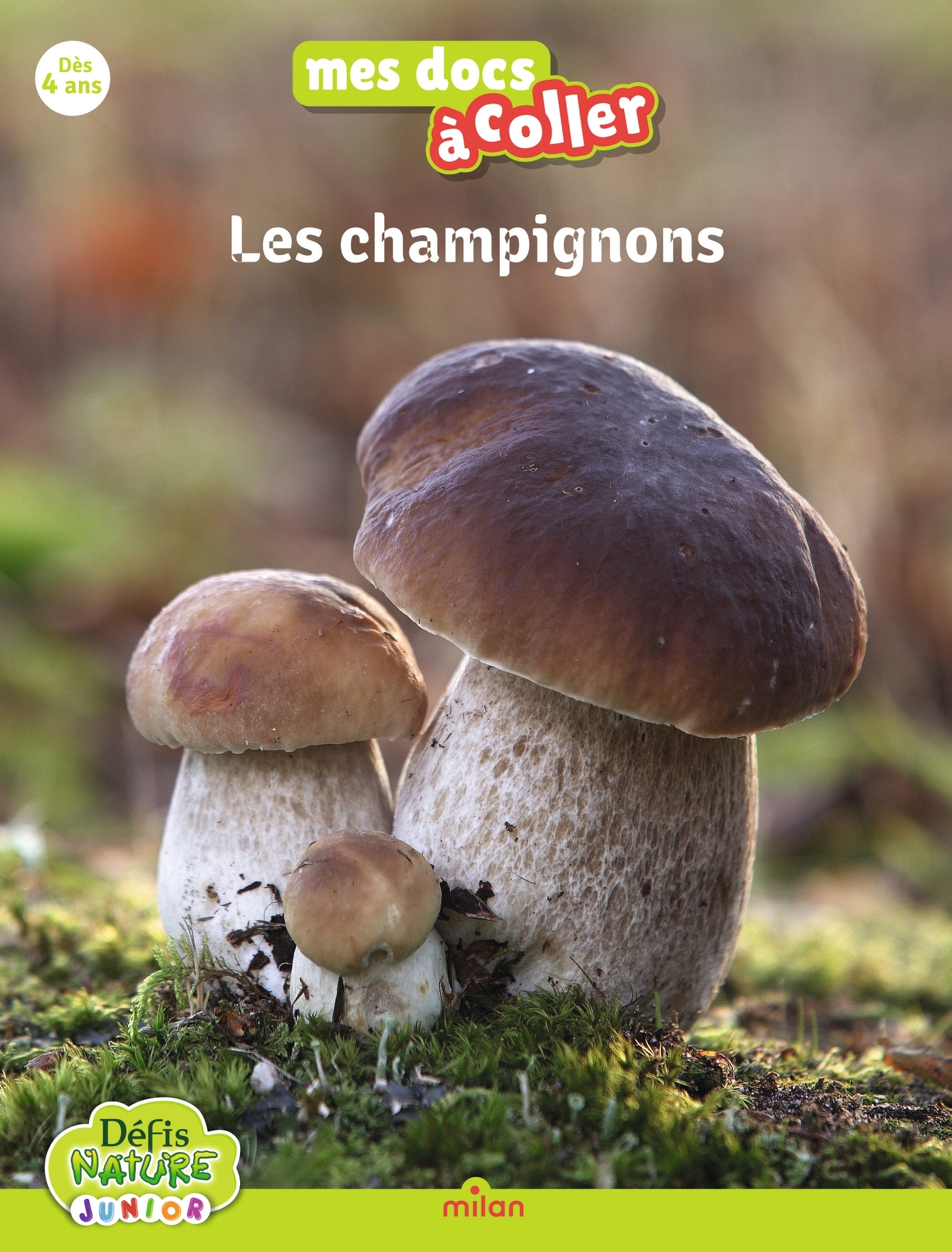 BIOVIVA - LES CHAMPIGNONS//MES DOCS A COLLER/MILAN/