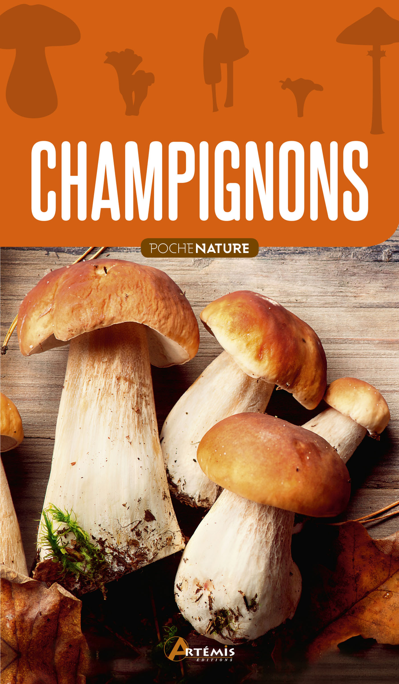 CHAMPIGNONS//POCHE NATURE/ARTEMIS/