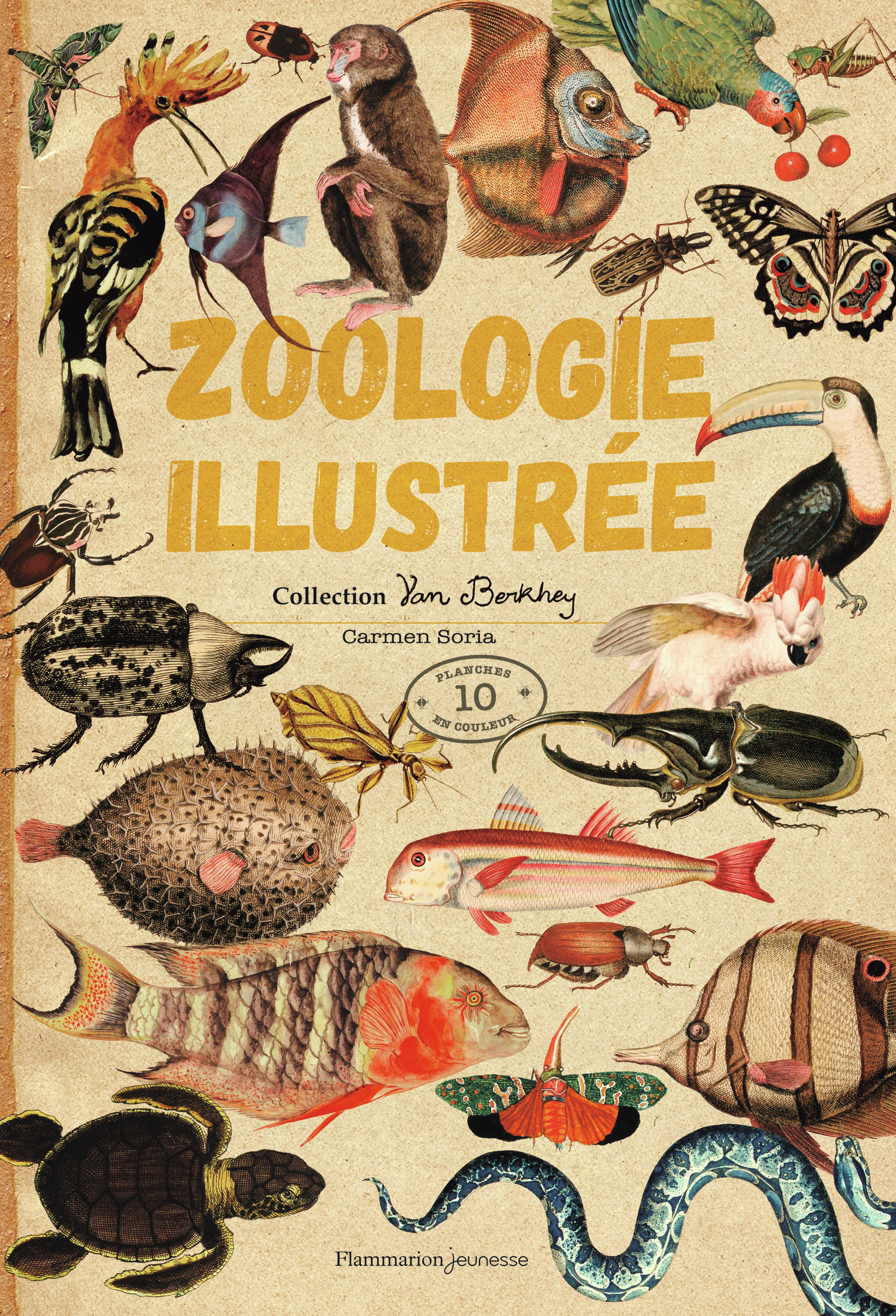ZOOLOGIE ILLUSTREE//ALBUMS DOCUMENTAIRES/FLAM JEUNESSE/