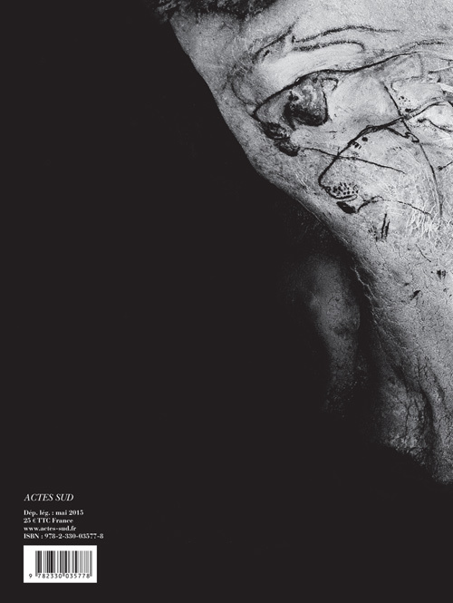 LA GROTTE DU PONT D'ARC, DITE GROTTE CHAUVET//BEAUX LIVRES/ACTES SUD/ – Image 2