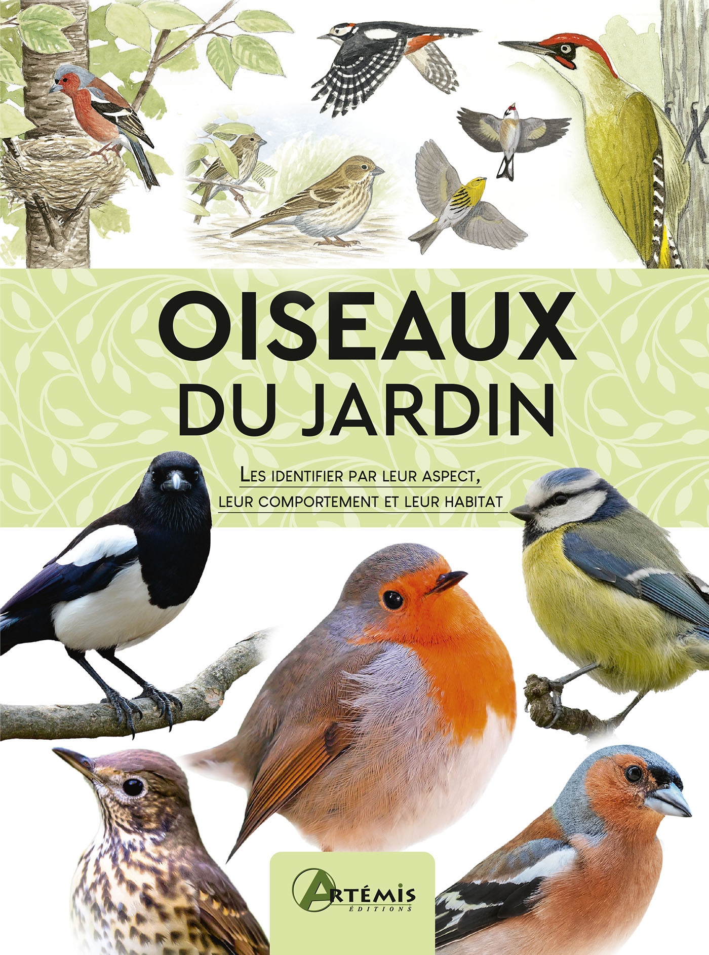 OISEAUX DU JARDIN//CARNETS ORNITHO/ARTEMIS/