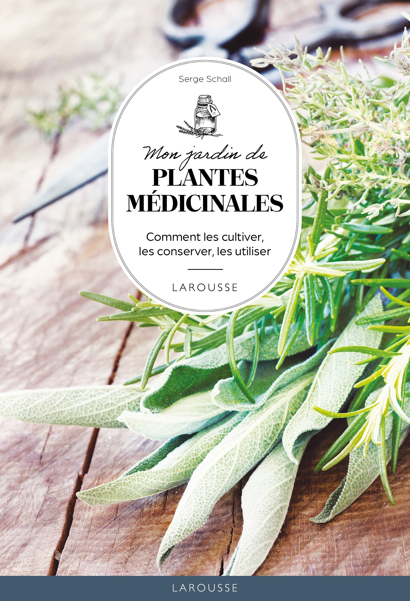 MON JARDIN DES PLANTES MEDICINALES/162/HORS COLLECTION - JARDIN/LAROUSSE/