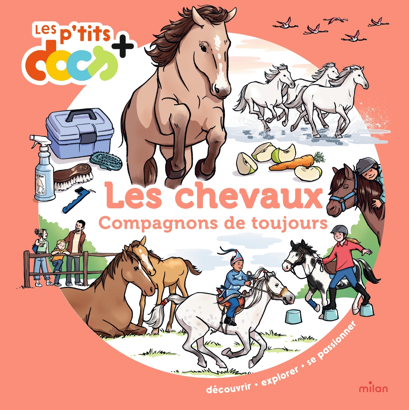 LES CHEVAUX//LES P'TITS DOCS +/MILAN/