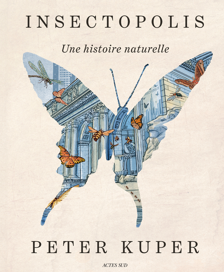INSECTOPOLIS//ACTES SUD BD/ACTES SUD/