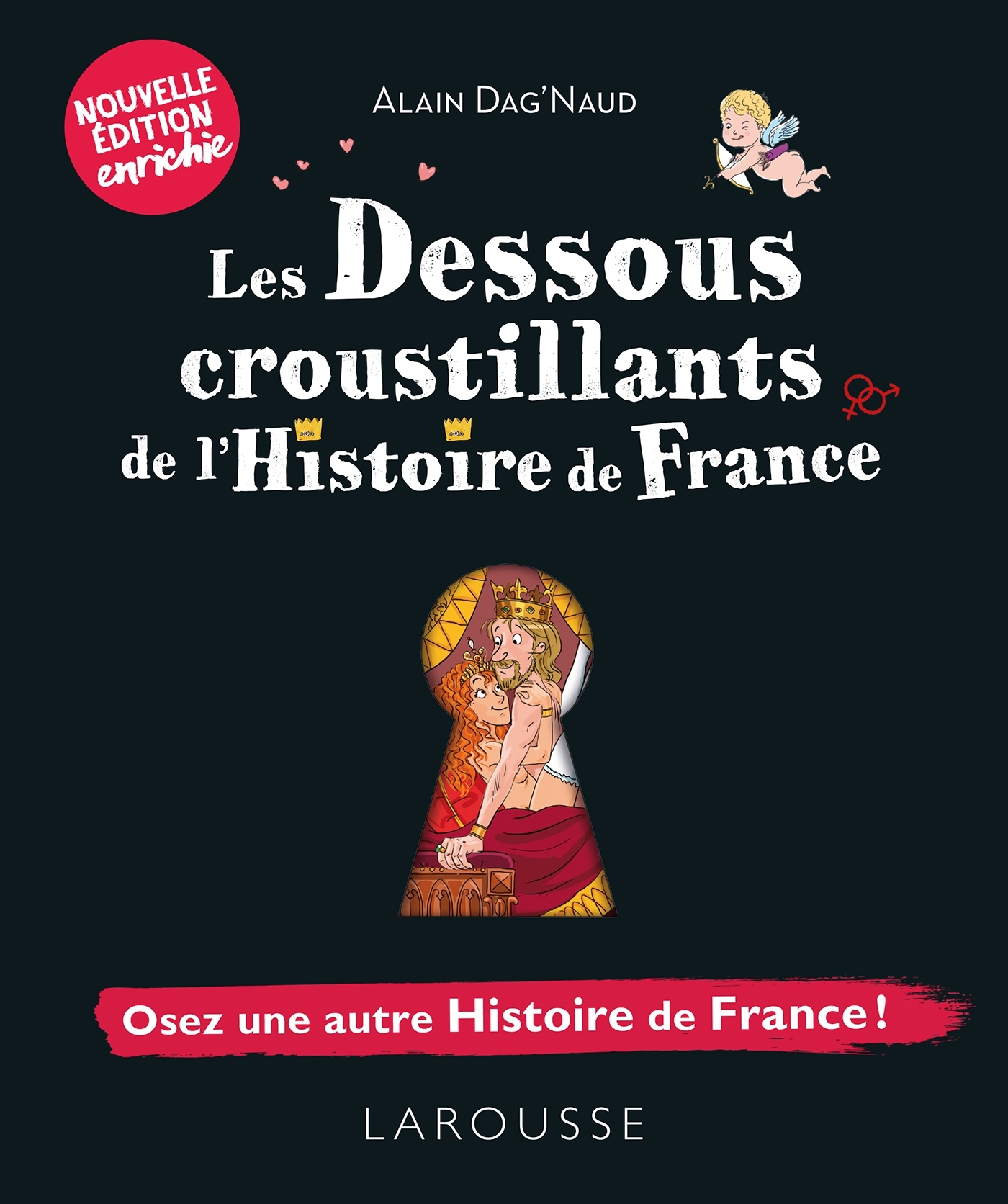 LES DESSOUS CROUSTILLANTS DE L'HISTOIRE DE FRANCE//GRAND BETISIER/LAROUSSE/