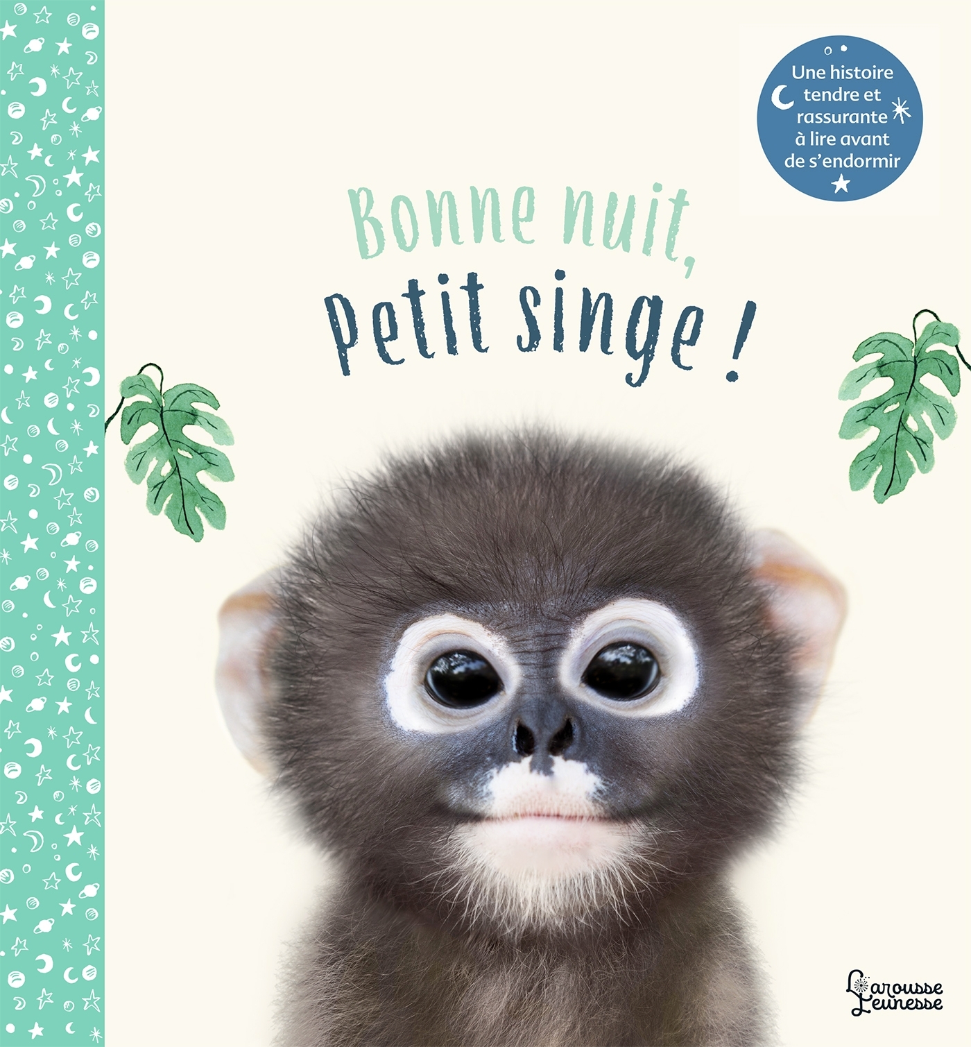 BONNE NUIT PETIT SINGE//PETITES HISTOIRES POUR S'ENDORMIR/LAROUSSE/