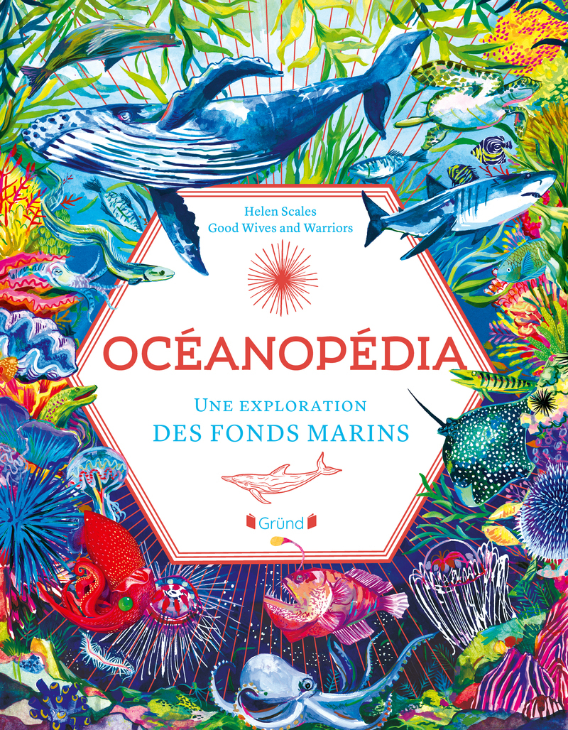 OCEANOPEDIA///GRUND/