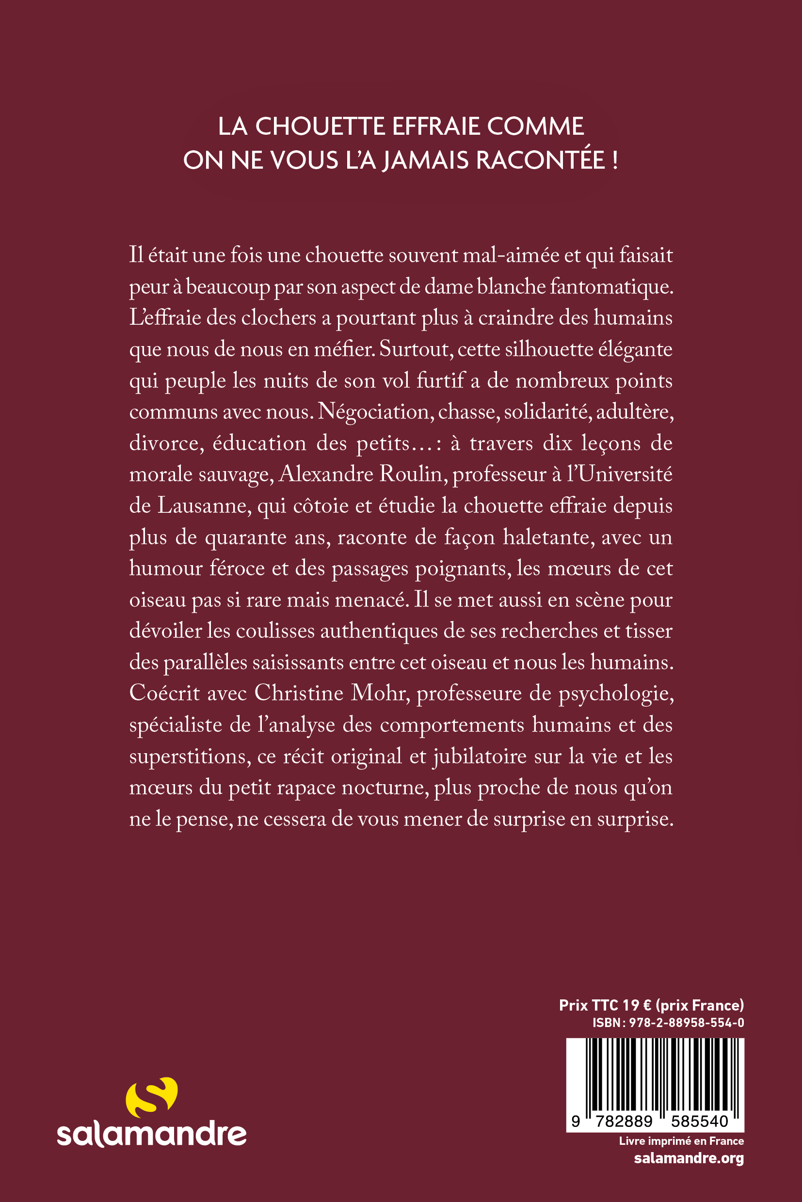 MA VIE DE CHOUETTE///LA SALAMANDRE/ – Image 2