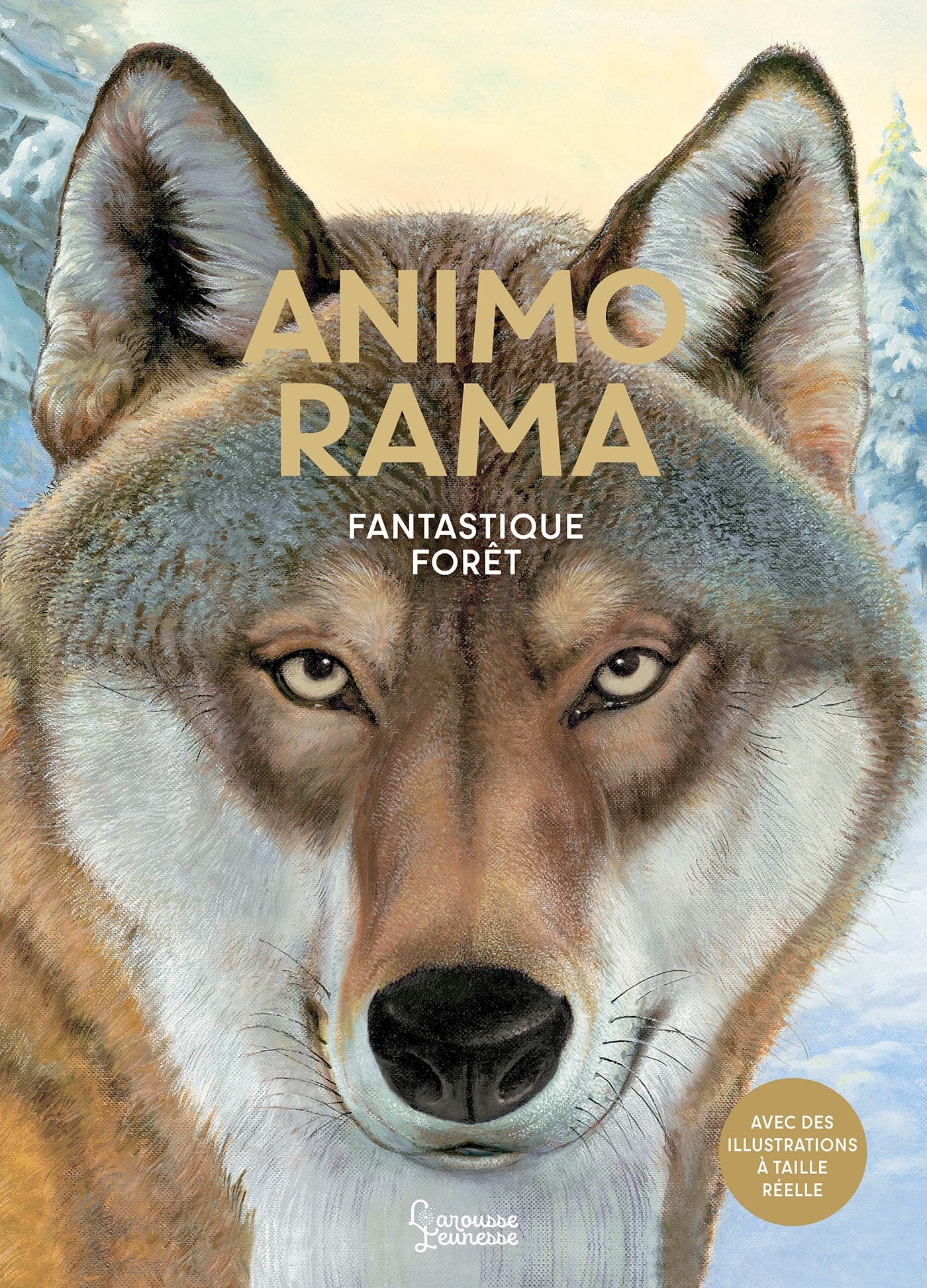 ANIMO RAMA FANTASTIQUE FORET///LAROUSSE/
